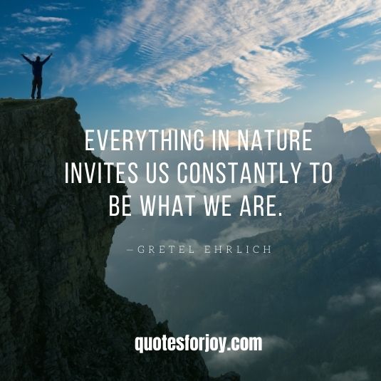 111 Inspirational Nature Quotes on Life | Hand Picked